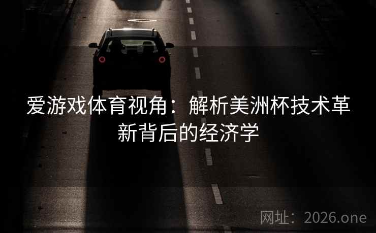 爱游戏体育视角：解析美洲杯技术革新背后的经济学