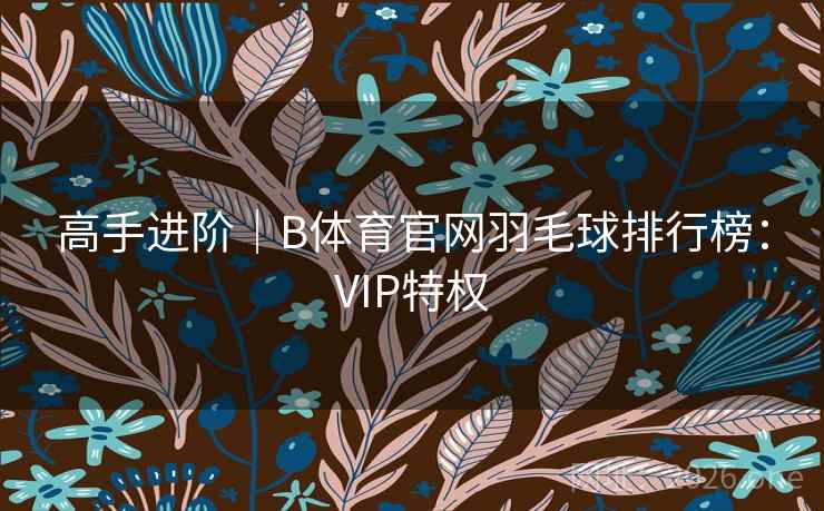 高手进阶｜B体育官网羽毛球排行榜：VIP特权