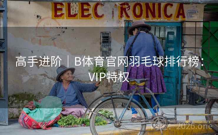 高手进阶｜B体育官网羽毛球排行榜：VIP特权