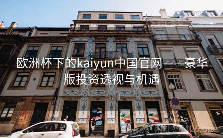 欧洲杯下的kaiyun中国官网——豪华版投资透视与机遇