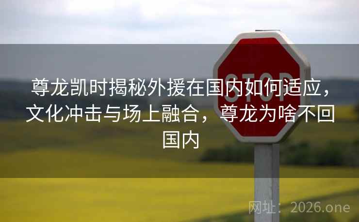 尊龙凯时揭秘外援在国内如何适应,文化冲击与场上融合,尊龙为啥不回国内 尊龙凯时揭秘外援在国内如何适应,文化冲击与场上融合,尊龙为啥不回国内
