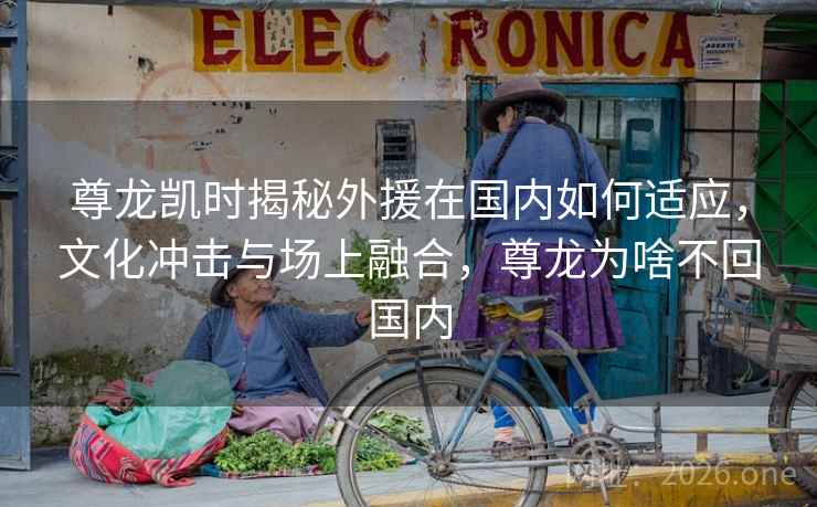 尊龙凯时揭秘外援在国内如何适应,文化冲击与场上融合,尊龙为啥不回国内 尊龙凯时揭秘外援在国内如何适应,文化冲击与场上融合,尊龙为啥不回国内