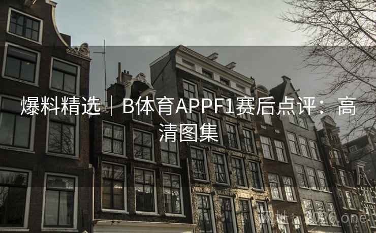 爆料精选|B体育APPF1赛后点评:高清图集 爆料精选|B体育APPF1赛后点评:高清图集