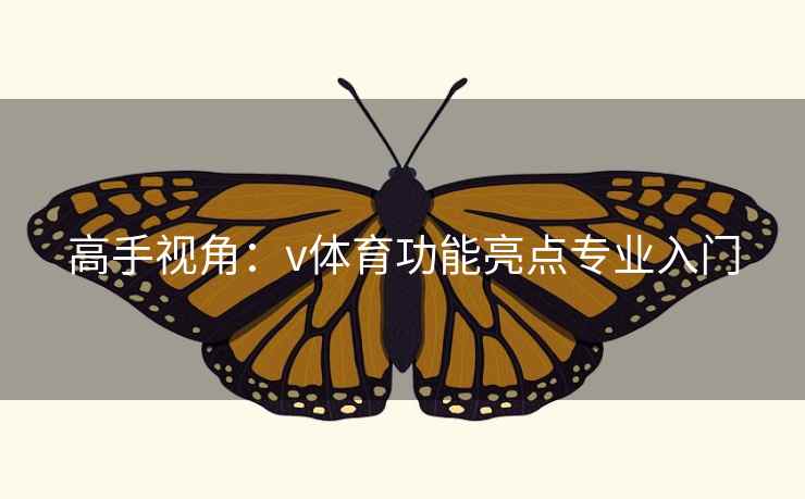 高手视角：v体育功能亮点专业入门