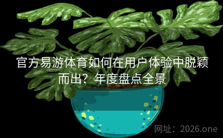 官方易游体育如何在用户体验中脱颖而出？年度盘点全景