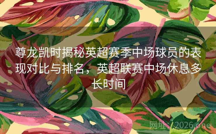 尊龙凯时揭秘英超赛季中场球员的表现对比与排名,英超联赛中场休息多长时间 尊龙凯时揭秘英超赛季中场球员的表现对比与排名,英超联赛中场休息多长时间