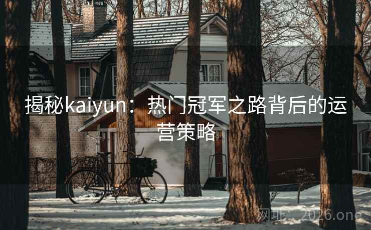 揭秘kaiyun：热门冠军之路背后的运营策略