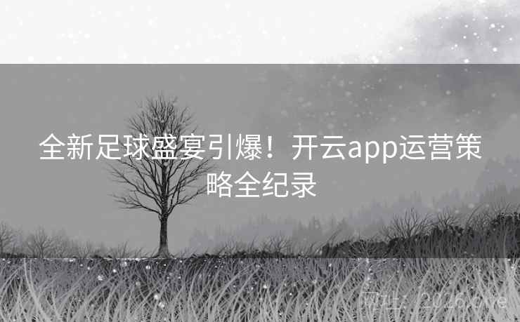 全新足球盛宴引爆!开云app运营策略全纪录 全新足球盛宴引爆!开云app运营策略全纪录