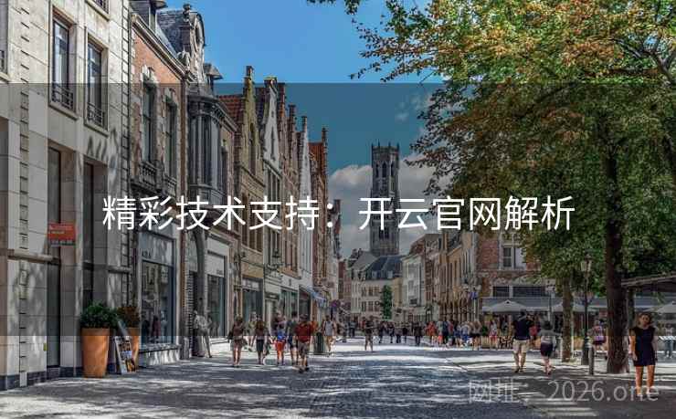 精彩技术支持：开云官网解析