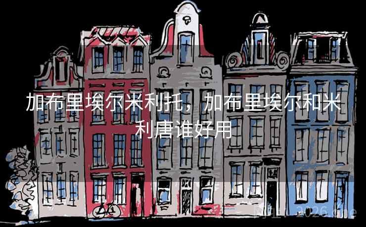 加布里埃尔米利托，加布里埃尔和米利唐谁好用